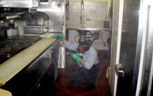 Commercial kitchen pest control