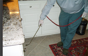 Residential pest control